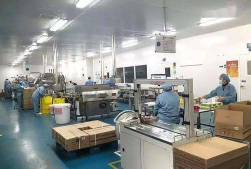 45億粒 落戶寶應經(jīng)濟開發(fā)區(qū)